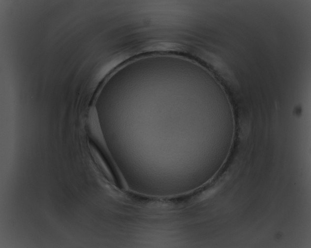 X0000091551073200708311349