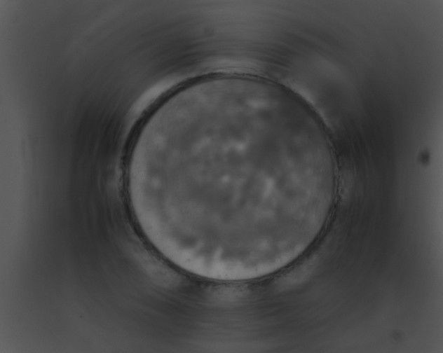 X0000091551074200708311349