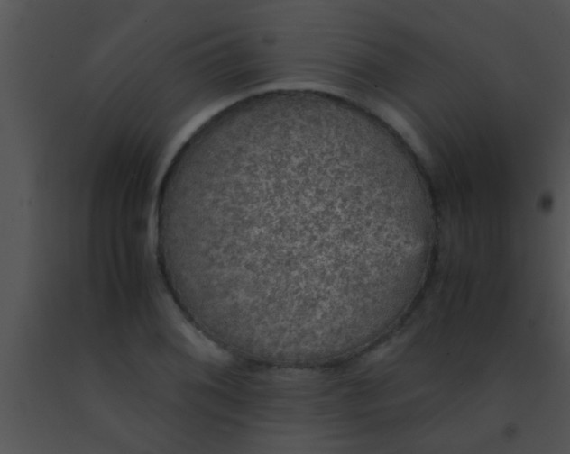 X0000091551076200708311349