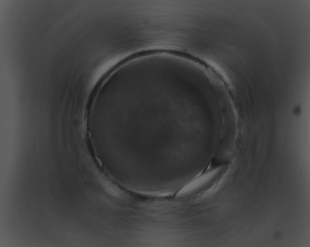 X0000091551077200708311349