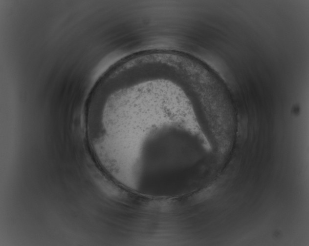 X0000091551078200708311349