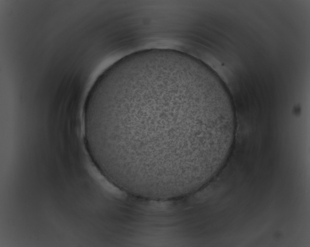 X0000091551080200708311349