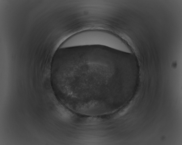 X0000091551081200708311349