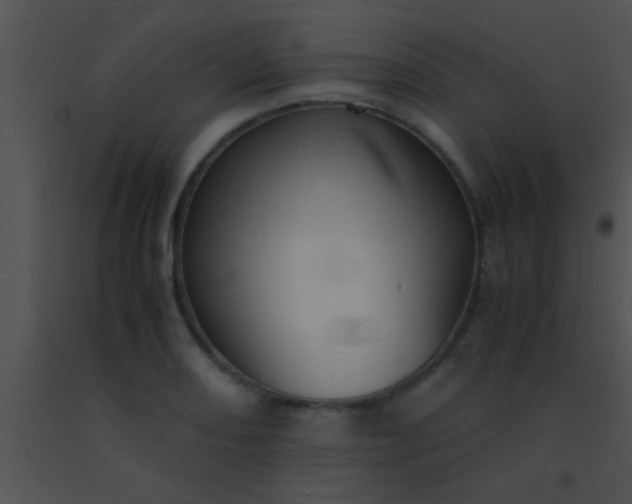 X0000091551082200708311349