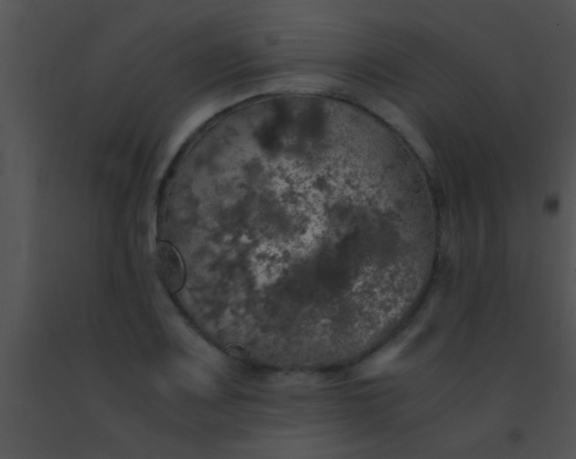 X0000091551083200708311349