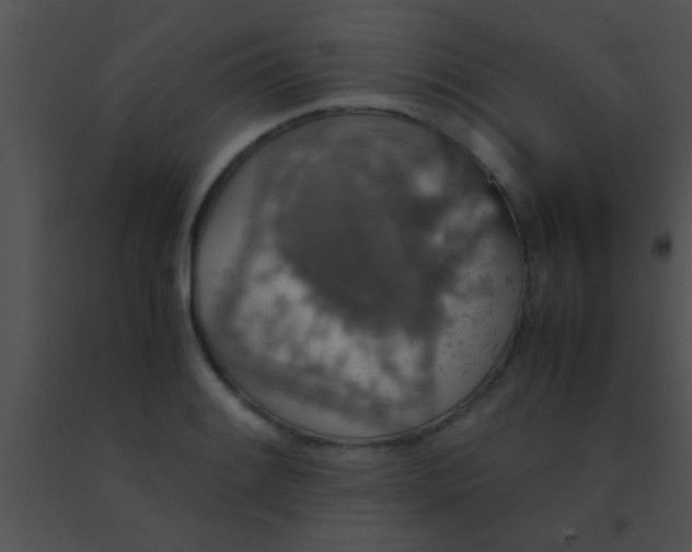 X0000091551084200708311349