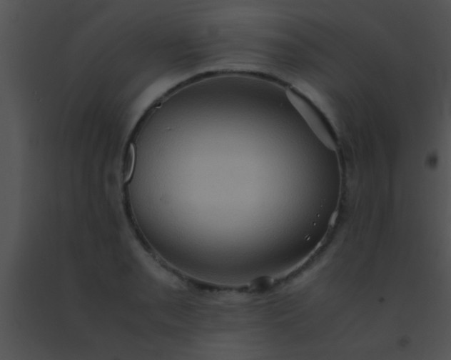 X0000091551085200708311349