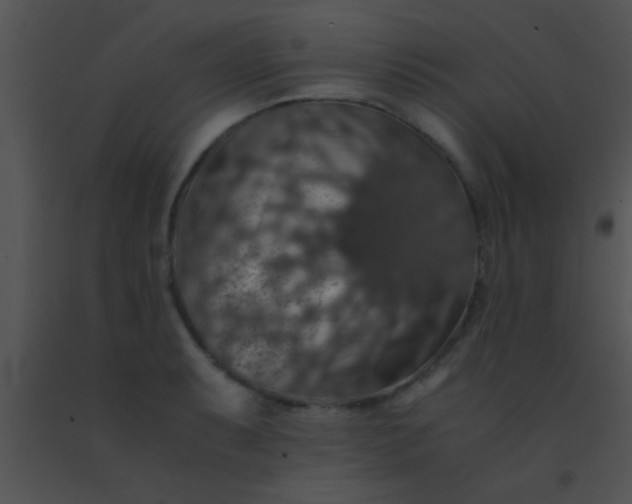 X0000091551087200708311349