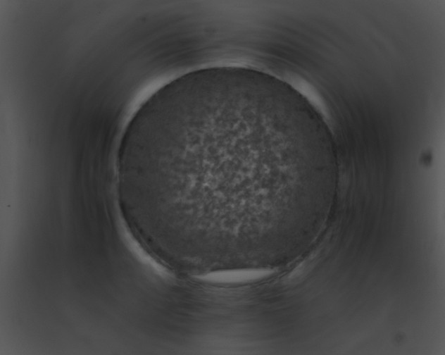 X0000091551088200708311349