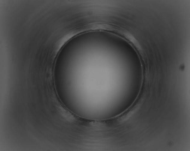 X0000091551089200708311349