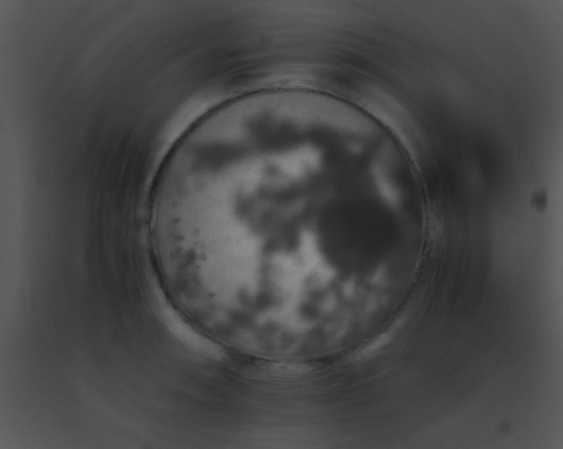 X0000091551090200708311349