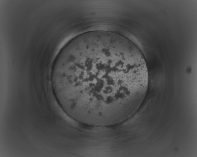 X0000091551091200708311349