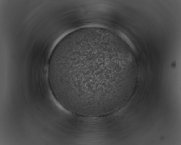 X0000091551092200708311349