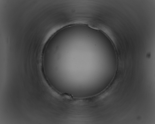 X0000091551093200708311349