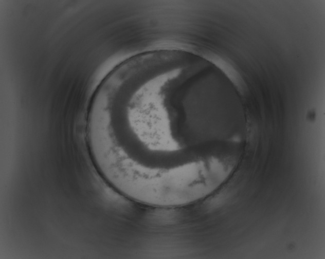 X0000091551094200708311349