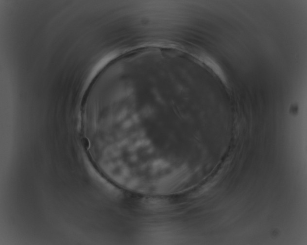 X0000091551095200708311349