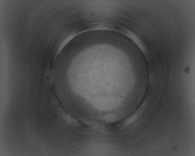 X0000091551097200708311349