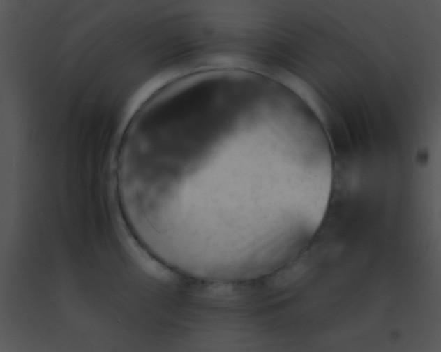 X0000091551098200708311349