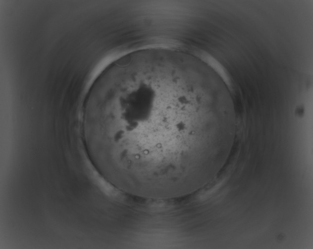 X0000091551099200708311349