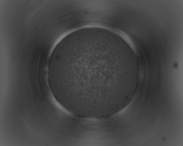 X0000091551100200708311349