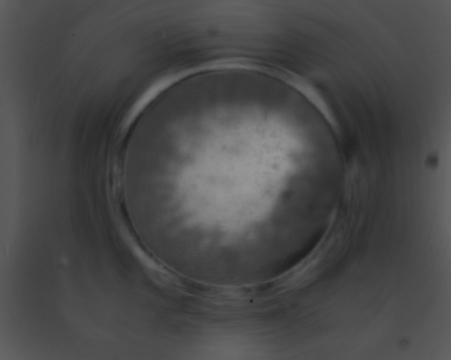 X0000091551101200708311349