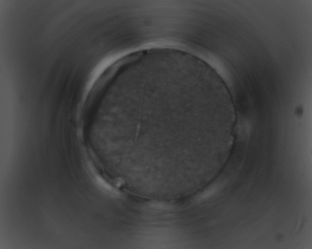 X0000091551102200708311349