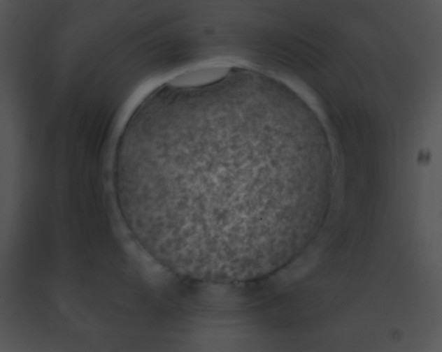 X0000091551104200708311349
