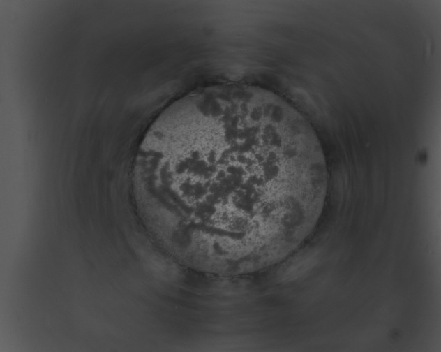 X0000091551105200708311348
