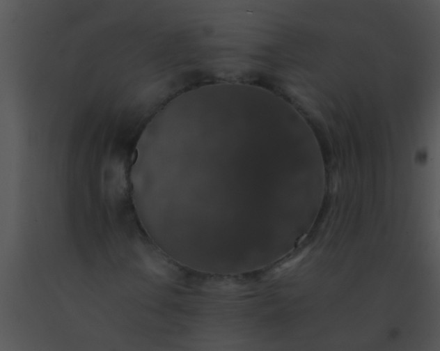 X0000091551106200708311348