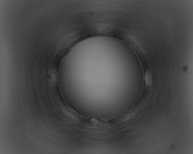 X0000091551107200708311348