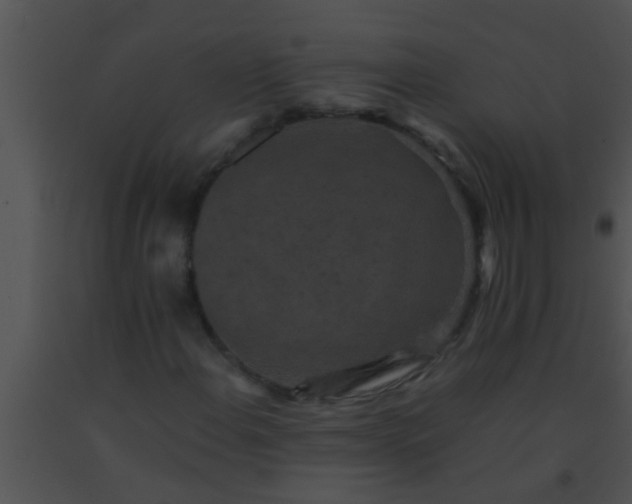 X0000091551108200708311348