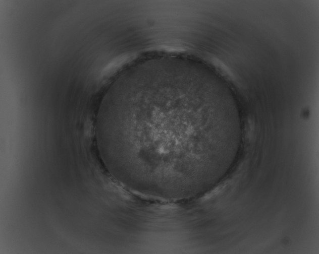 X0000091551110200708311348