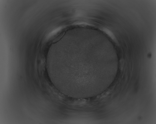 X0000091551111200708311348