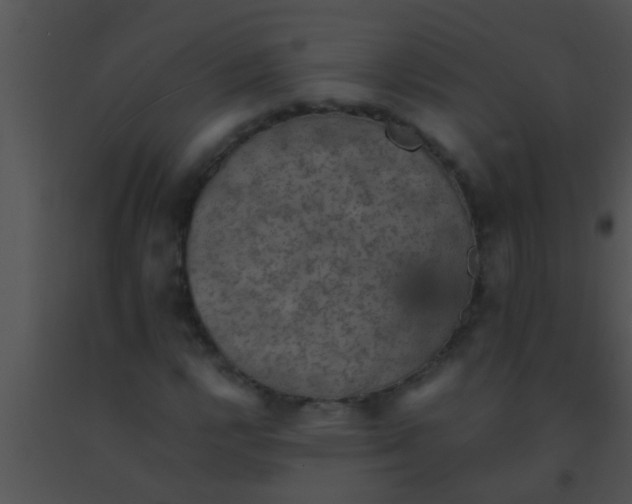 X0000091551112200708311348