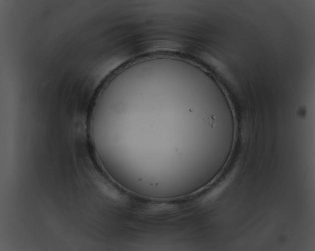 X0000091551113200708311348
