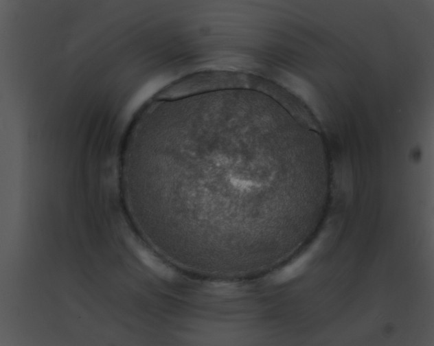 X0000091551114200708311348