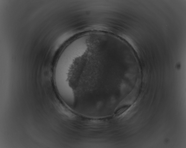 X0000091551115200708311348