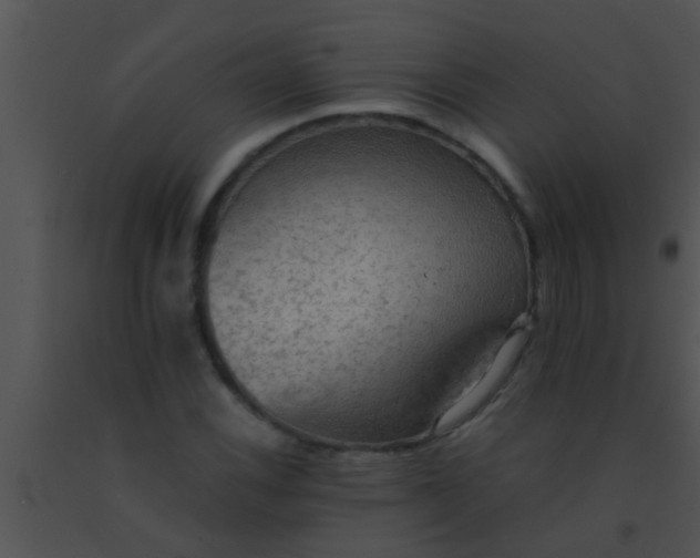 X0000091551116200708311348