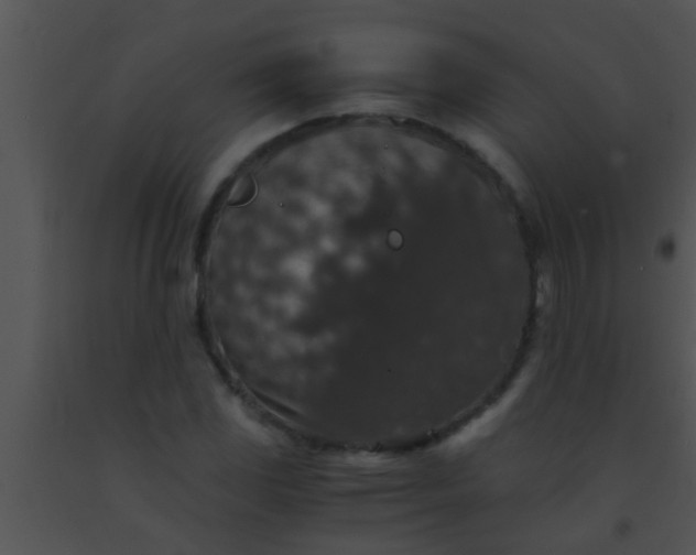 X0000091551117200708311348