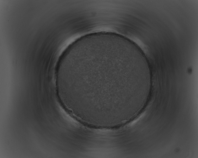 X0000091551118200708311348