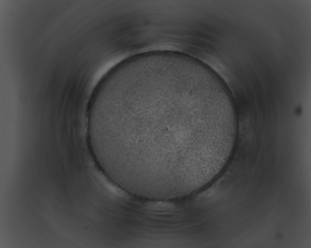 X0000091551119200708311348