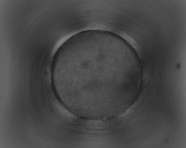 X0000091551120200708311348