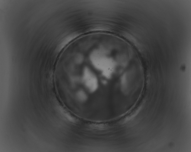 X0000091551121200708311348