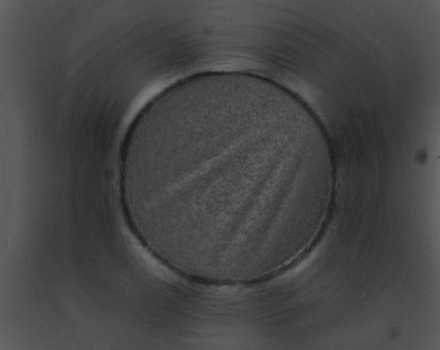 X0000091551122200708311348