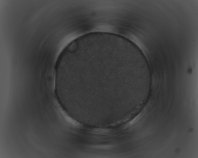 X0000091551123200708311348