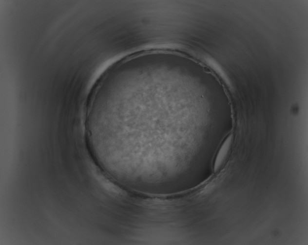 X0000091551124200708311348