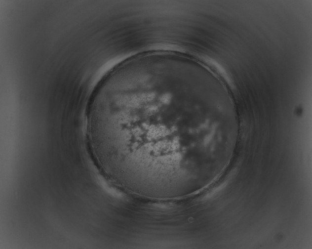 X0000091551125200708311348