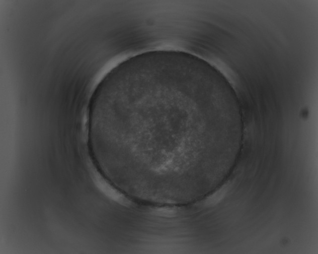 X0000091551126200708311348