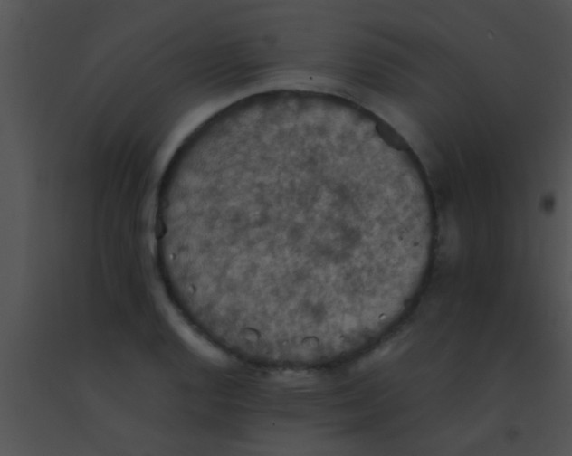 X0000091551128200708311348