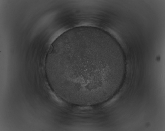X0000091551129200708311348
